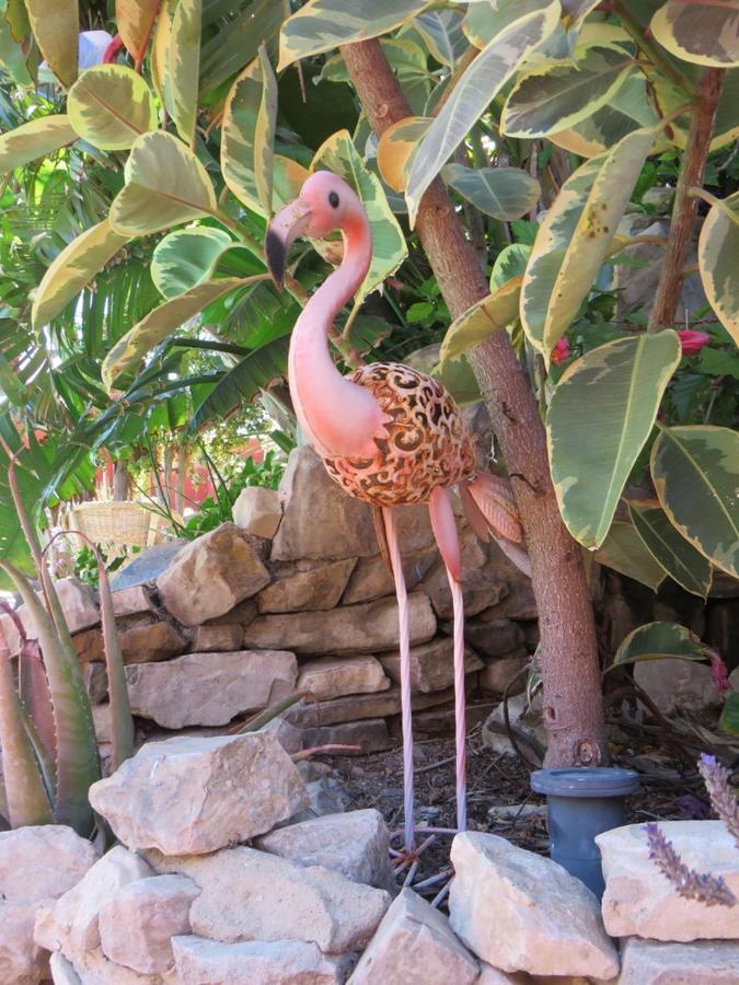 צ'יקלנה דה לה פרונטרה Higos Chumbos, Casa Rural Compartido מראה חיצוני תמונה