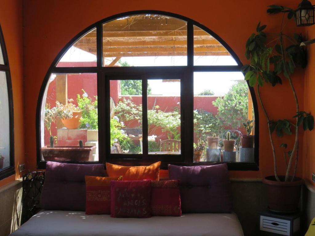 צ'יקלנה דה לה פרונטרה Higos Chumbos, Casa Rural Compartido מראה חיצוני תמונה